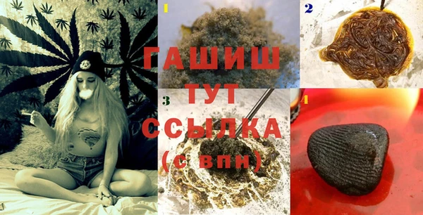 шишки Инта
