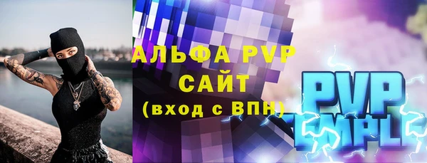 гидра Инсар