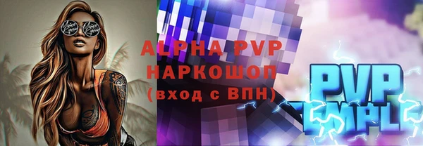 шишки Инта