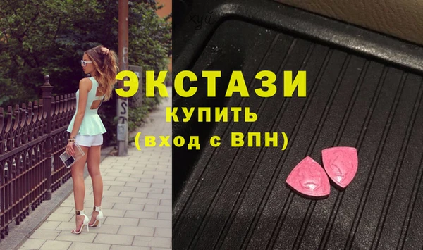 шишки Инта