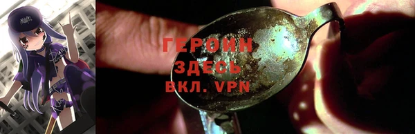 шишки Инта