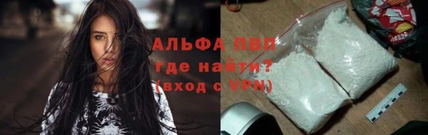 a pvp Иннополис