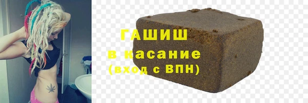шишки Инта