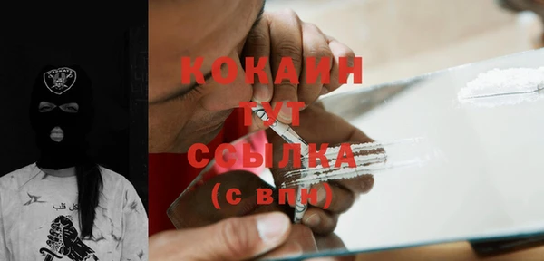 шишки Инта