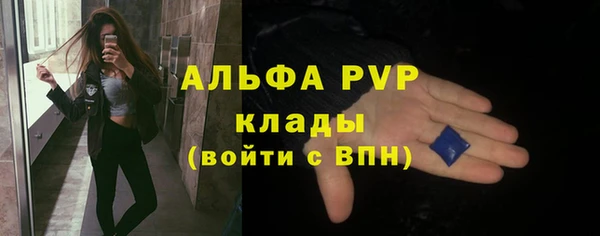 шишки Инта