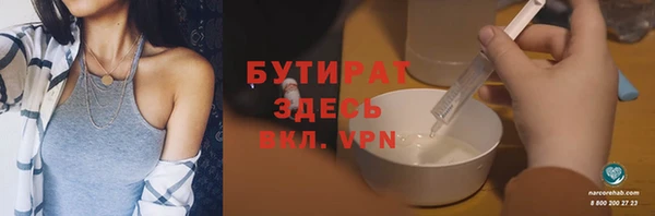 гидра Инсар