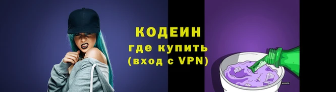 шишки Инта