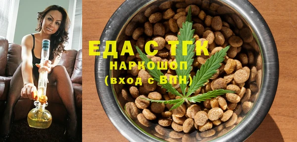 шишки Инта