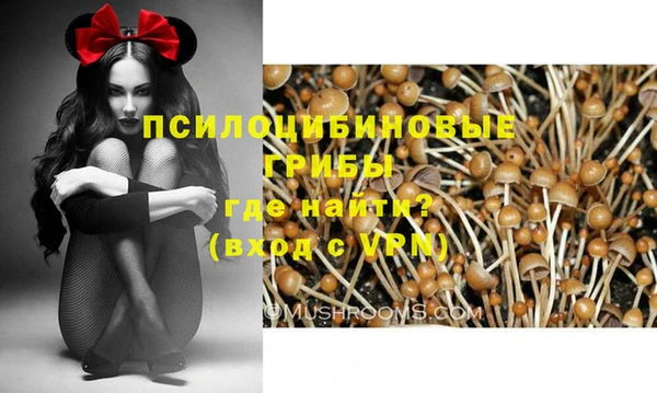 шишки Инта