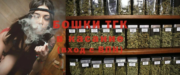 шишки Инта