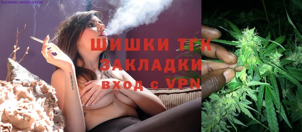 шишки Инта