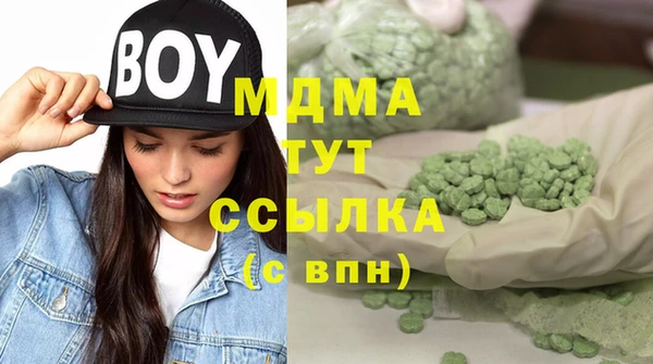 шишки Инта