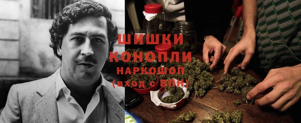 шишки Инта