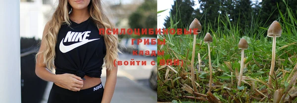 a pvp Иннополис