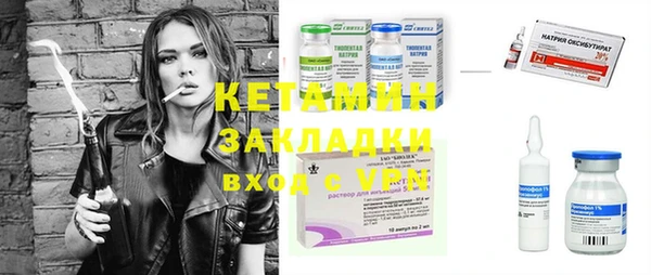 шишки Инта