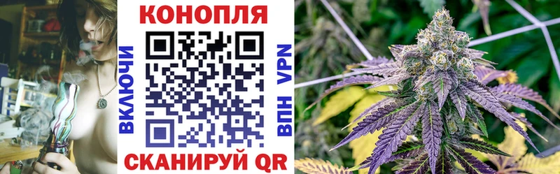 Бошки Шишки Amnesia  Карталы 